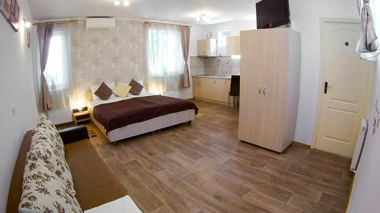 Nice & Cozy Apartments Timisoara Exterior photo